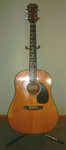 1980_epiphone_pr650n.jpg