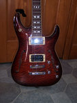 schecter2.jpg