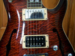 schecter4.jpg