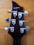 schecter5.jpg