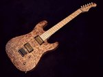 Schaller-proto.JPG