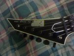 Snake Headstock.jpg