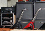 Rig_Lg2_500.jpg