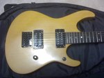 ESP body.jpg