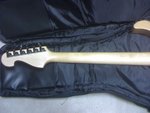 ESP neck.jpg