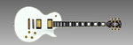 LPCustom.jpg