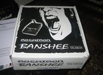 banshee.jpg