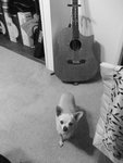 Mini & Mr. Jumbo 12.jpg
