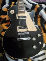 imagejpeg_1(13).jpg