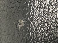 277B7D19-6122-447B-B2DC-CD960E263AF2.jpeg