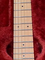 frets close up.jpg