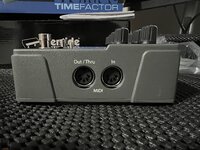 IMG_3652.jpeg