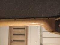 IMG_20230209_062427.jpg