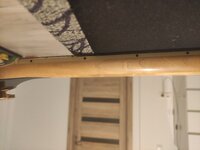 IMG_20230209_062449.jpg