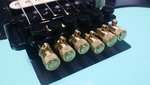 new trem locks (1).jpg