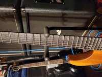 20230210_071023.jpg