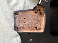 IMG_3817.jpeg