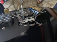 61836377729__04182885-D7B8-4995-B87A-673958D49619.jpeg