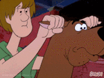 F4A18EB1-BC6D-4BD6-B412-118478DFE8F6.gif