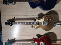 IMG_20230408_160129.jpg