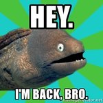 hey-im-back-bro.jpg