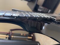 IMG_9495.jpeg
