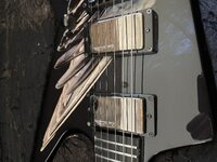 IMG_9502.jpeg