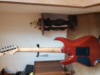 20210129_103657.jpg
