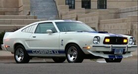 cobra.JPG