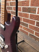 IMG_8570.jpeg
