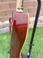 IMG_0731.jpg