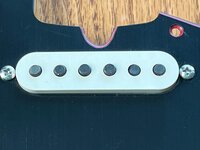 IMG_4667.jpeg