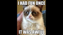 grumpy cat fun once.jpg