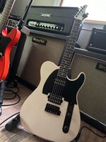 IMG_3376.jpeg