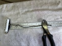 IMG_7777.jpeg