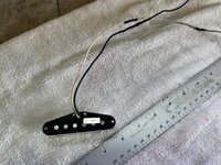 IMG_7780.jpeg