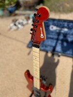 IMG_8716.jpg