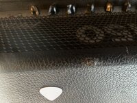 IMG_2385.jpeg