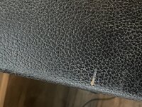 IMG_2386.jpeg