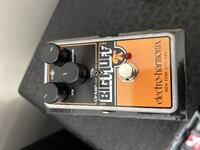 IMG_3369.jpeg