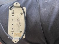 IMG_2471.jpeg