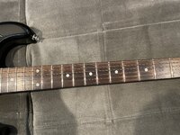 IMG_9331.jpeg