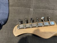 IMG_9335.jpeg