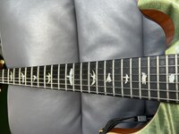 IMG_4698.jpeg
