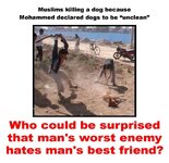 DDM61_-XkAIF6nO.jpg