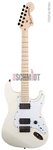 Fender-Jim-Root-Stratocaster-FW.jpg