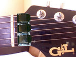 Nut Picture on GL.jpg