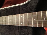 IMG_0661.jpeg