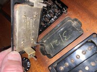 IMG_2411.jpeg