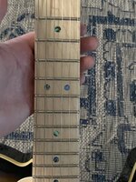 IMG_3947.jpeg